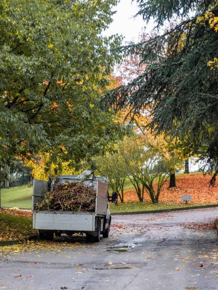 a maintenance truck loaded with brushwood in a park in the autumn period